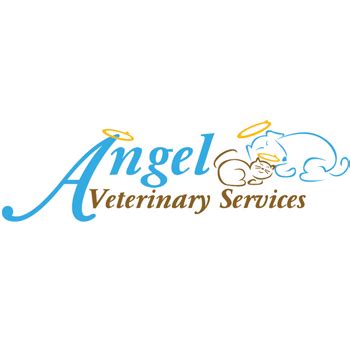 angel vet service phoenix az.